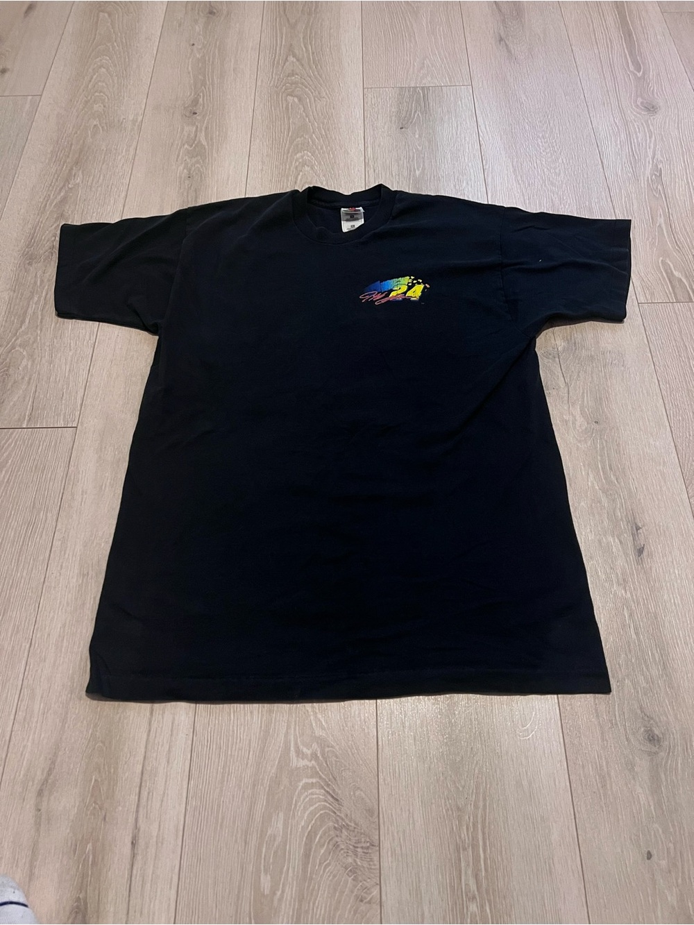Fruit of the Loom Black Short Sleeve Tee with Small Multicolor Chest Graphic